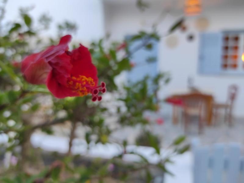 Olive Grove Soulis Family Estate Villa Porto Heli Exterior photo
